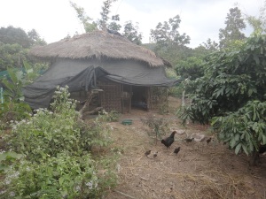 The chicken coup-which Jo and I actually thought was a guest room-it was amazing!