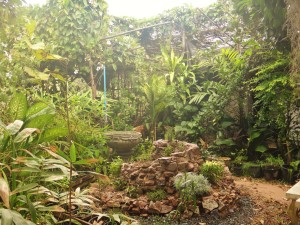 A herb garden spiral build by one volunteer 